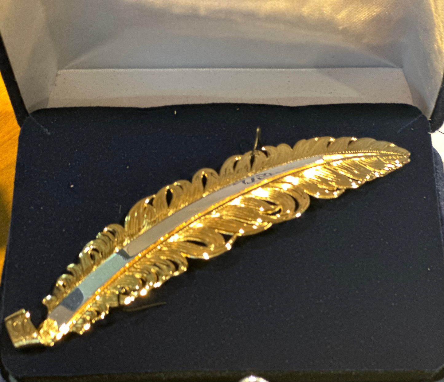 Pluma Plata Oro/Plata