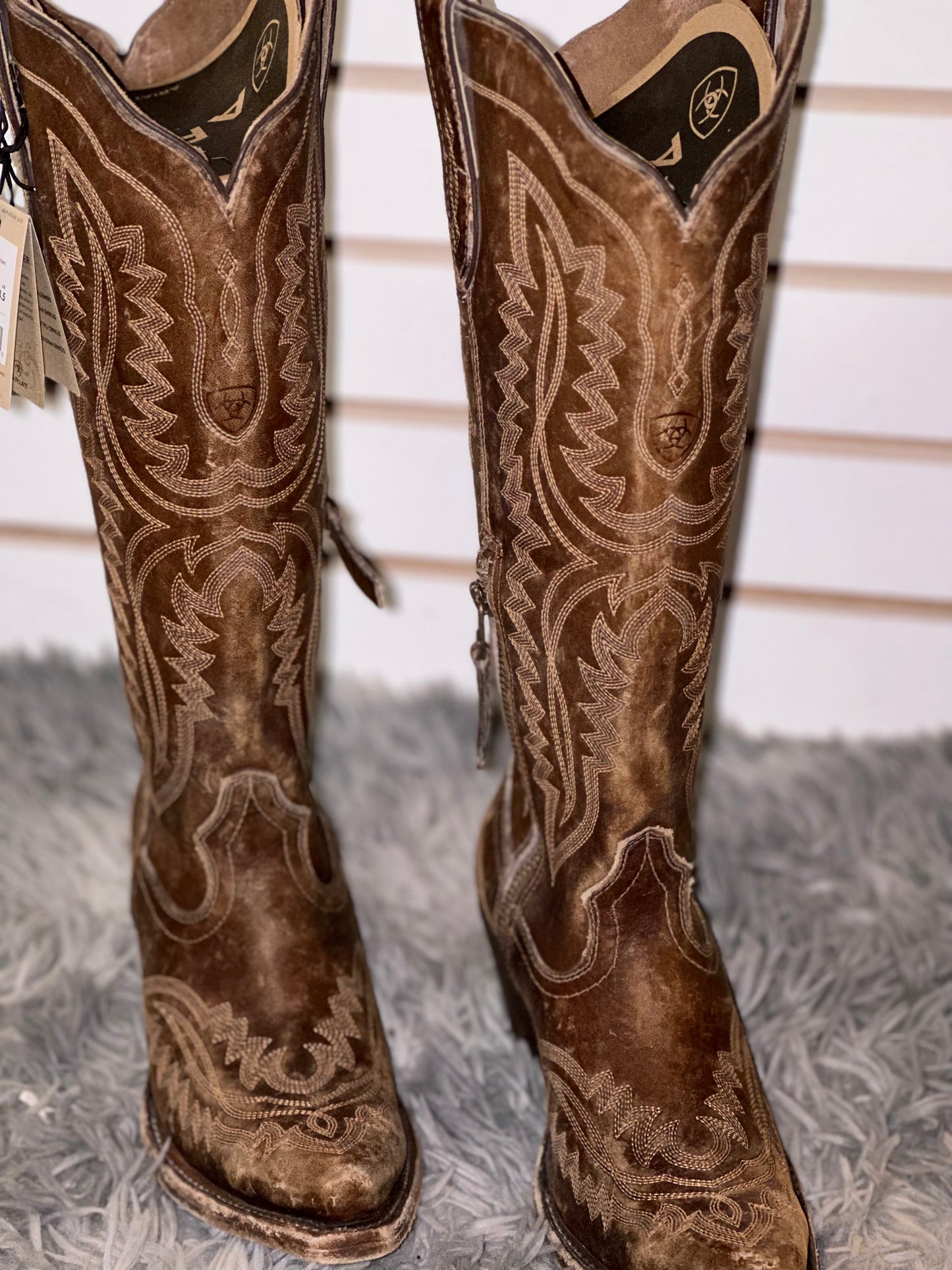 Women's Ariat Casanova Tall Boot