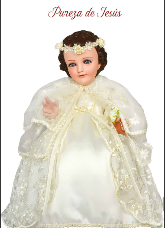Pureza de Jesus