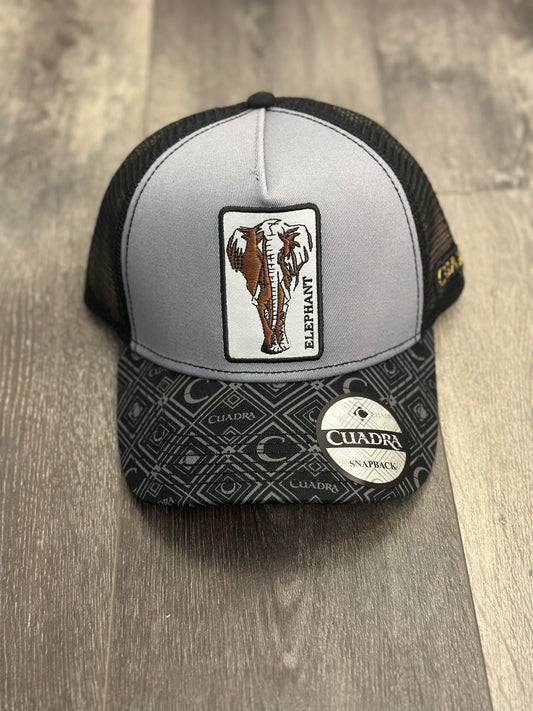 Elephant Cuadra Cap