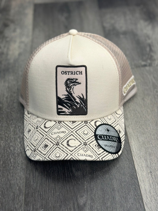 Ostrich Cuadra Cap